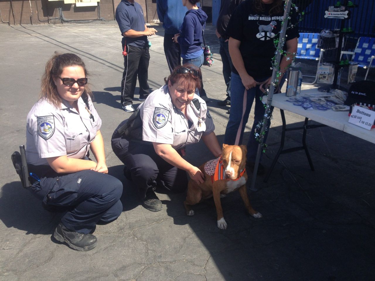 imagen de Las Vegas en 2009