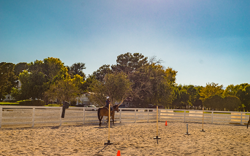 Floyd_Lamb_Park_at_Tule_Springs-equestrian_corral-800x500.jpg