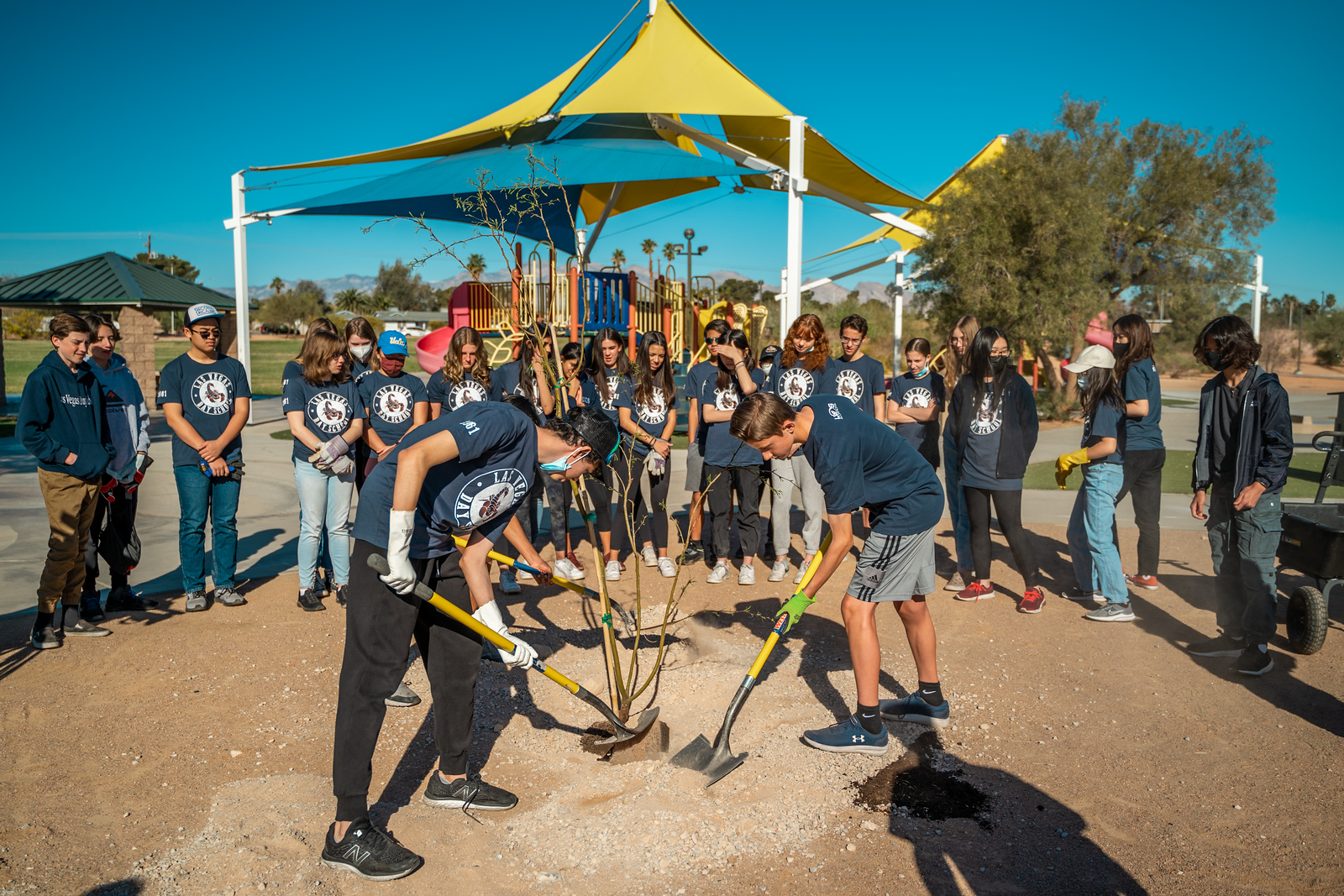 TreePlanting.jpg TreePlanting.jpg