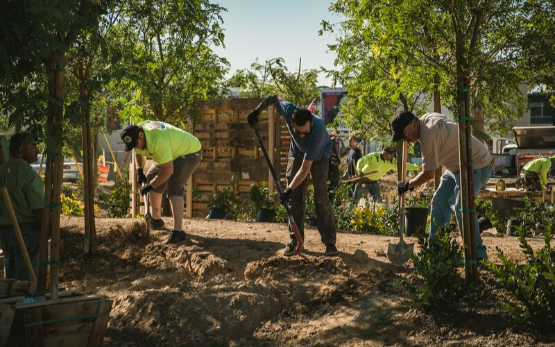 제목 없는 디자인 (36).png