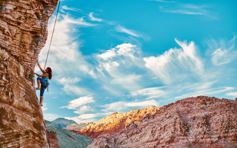 Untitled design - 2022-09-07T102146.376.png