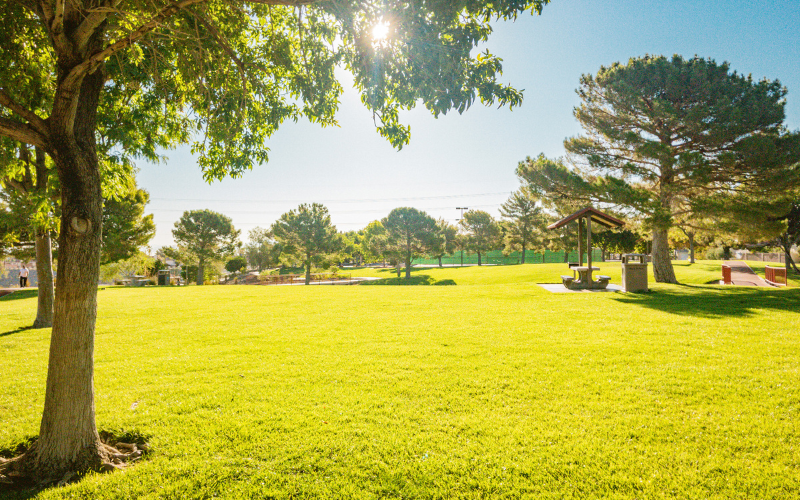 Untitled design - 2022-09-07T102244.557.png