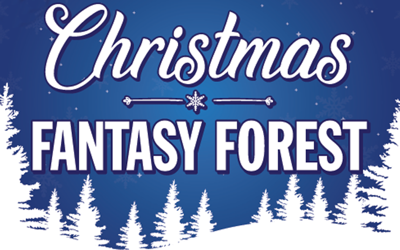 Ward 6 Christmas Fantasy Forest