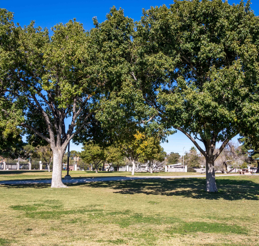 City parks that opened and received upgrades in 2021