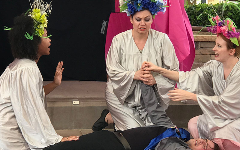  The Princess and The Magic Flute